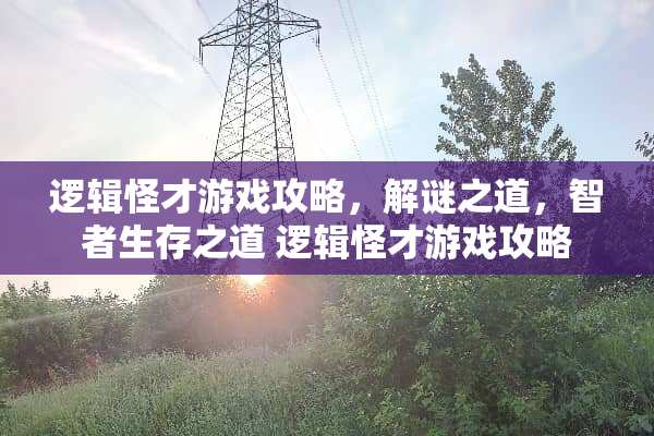 逻辑怪才游戏攻略，解谜之道，智者生存之道 逻辑怪才游戏攻略