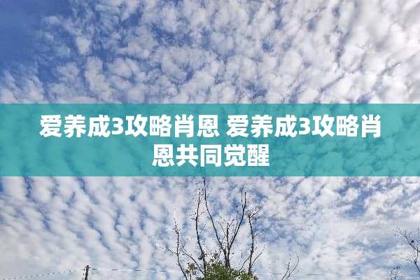 爱养成3攻略肖恩 爱养成3攻略肖恩共同觉醒