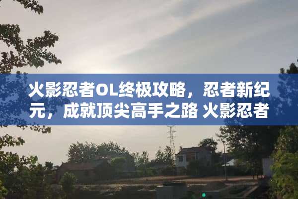 火影忍者OL终极攻略，忍者新纪元，成就顶尖高手之路 火影忍者ol攻略