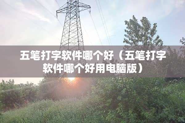 五笔打字软件哪个好（五笔打字软件哪个好用电脑版）