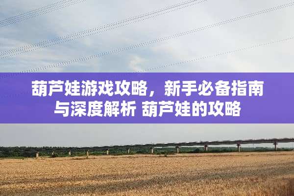 葫芦娃游戏攻略，新手必备指南与深度解析 葫芦娃的攻略