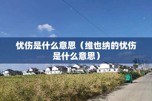 忧伤是什么意思（维也纳的忧伤是什么意思）