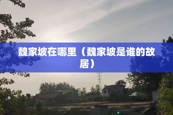 魏家坡在哪里（魏家坡是谁的故居）