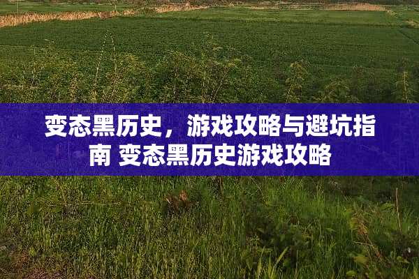 变态黑历史,游戏攻略与避坑指南 变态黑历史游戏攻略