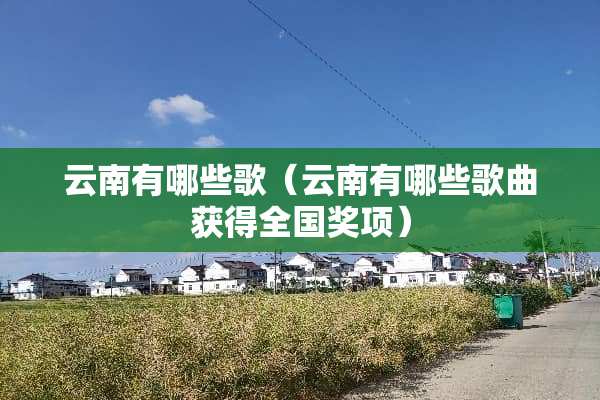 云南有哪些歌（云南有哪些歌曲获得全国奖项）