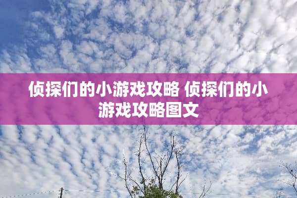 侦探们的小游戏攻略 侦探们的小游戏攻略图文