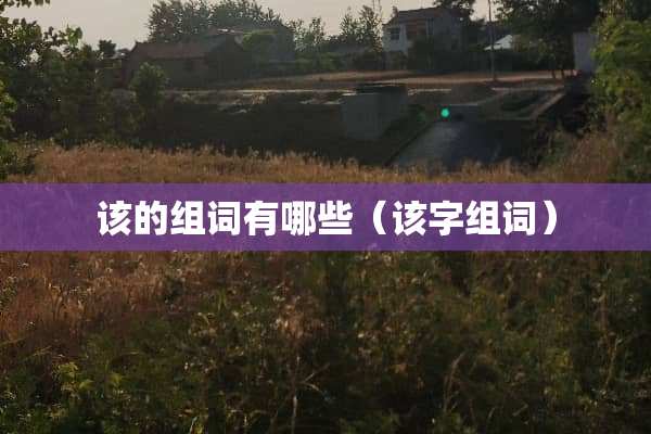 该的组词有哪些（该字组词）