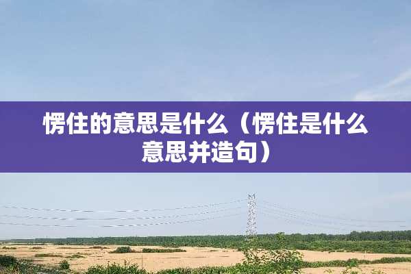 愣住的意思是什么（愣住是什么意思并造句）