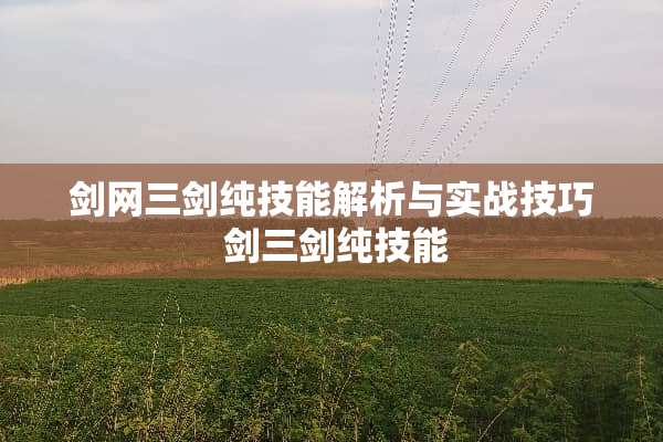 剑网三剑纯技能解析与实战技巧 剑三剑纯技能