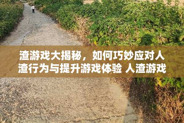 渣游戏大揭秘，如何巧妙应对**行为与提升游戏体验**游戏玩法