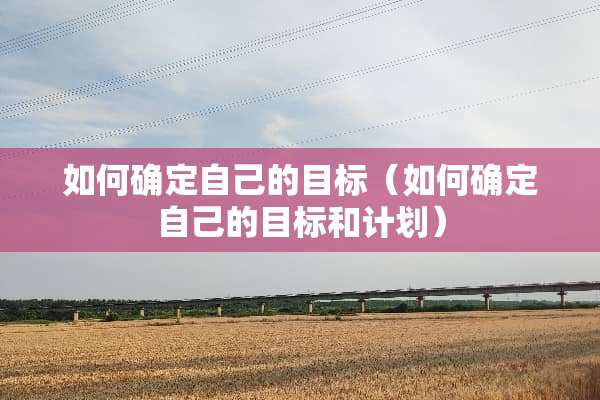 如何确定自己的目标（如何确定自己的目标和计划）