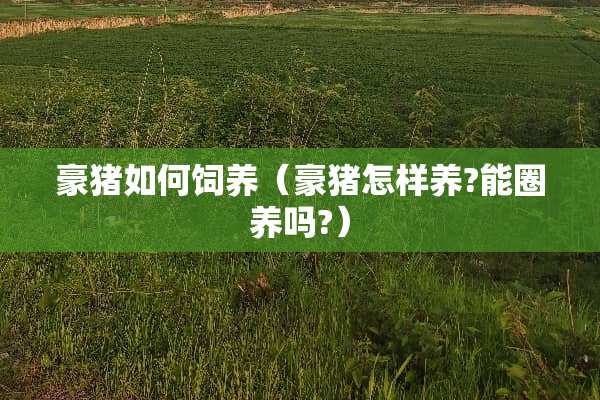 豪猪如何饲养（豪猪怎样养?能圈养吗?）
