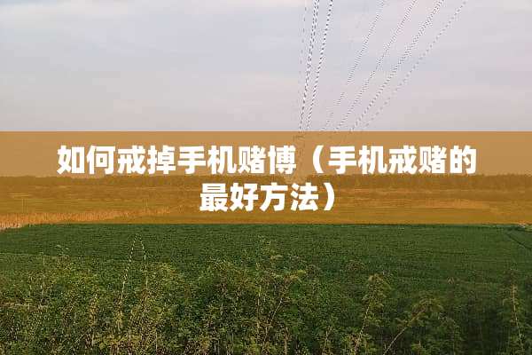 如何戒掉手机**（手机戒赌的最好方法）