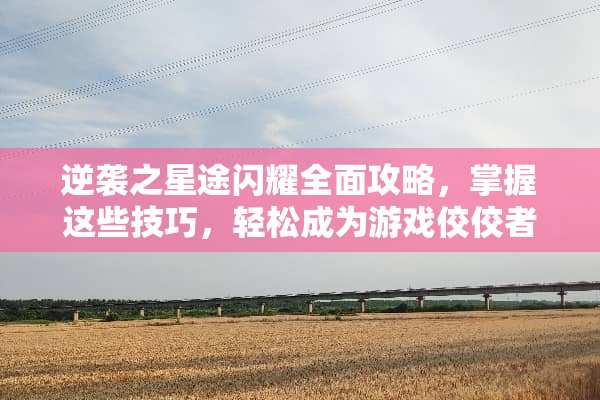 逆袭之星途闪耀全面攻略，掌握这些技巧，轻松成为游戏佼佼者 逆袭之星途闪耀攻略