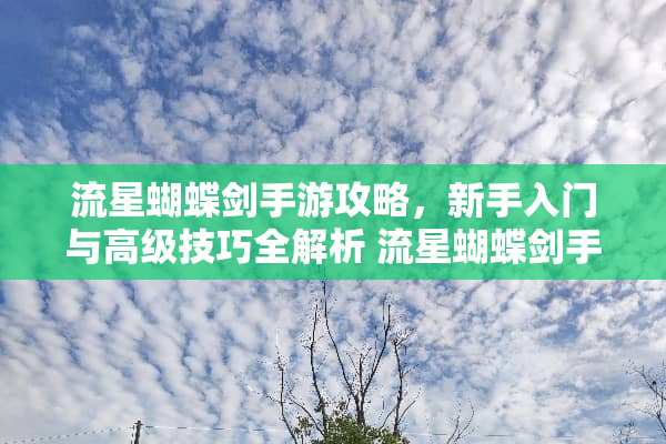 流星蝴蝶剑手游攻略，新手入门与高级技巧全解析 流星蝴蝶剑手游攻略