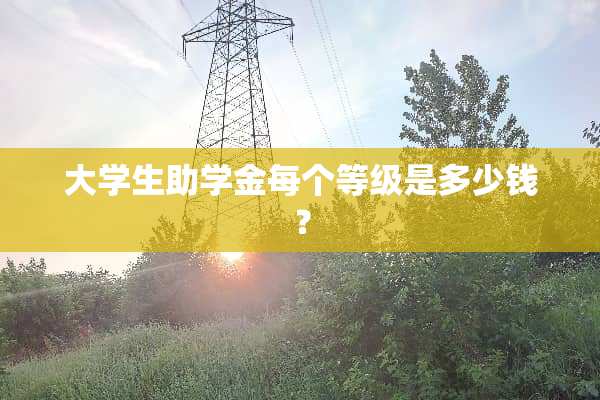 大学生助学金每个等级是多少钱？