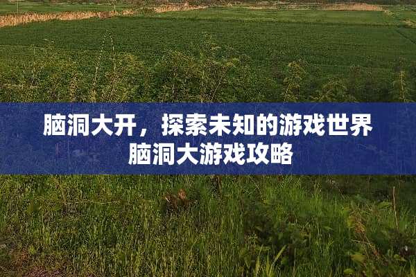脑洞大开，探索未知的游戏世界 脑洞大游戏攻略