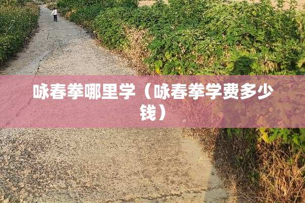 咏春拳哪里学（咏春拳学费多少钱）