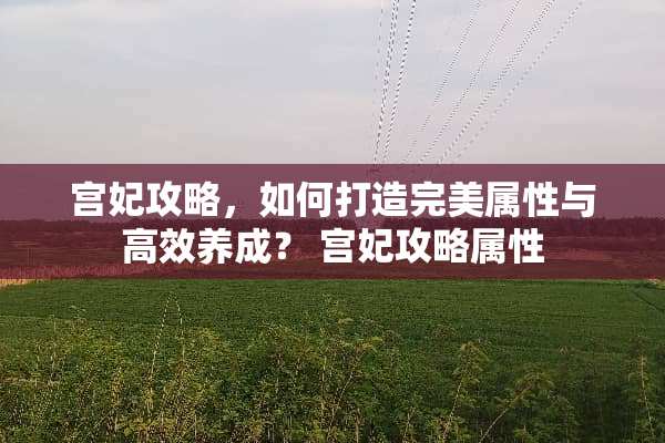 宫妃攻略，如何打造完美属性与高效养成？ 宫妃攻略属性