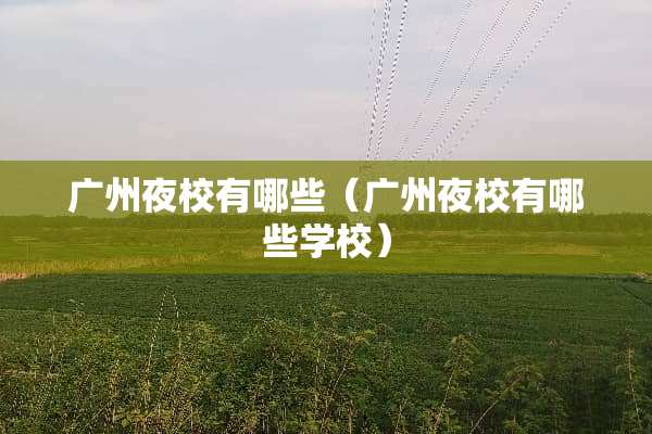 广州夜校有哪些（广州夜校有哪些学校）