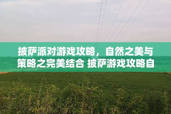 披萨派对游戏攻略，自然之美与策略之完美结合 披萨游戏攻略自然