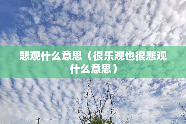 悲观什么意思（很乐观也很悲观什么意思）
