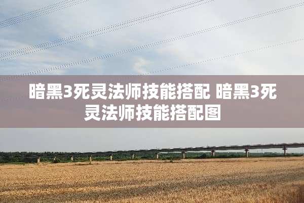 暗黑3死灵法师技能搭配 暗黑3死灵法师技能搭配图