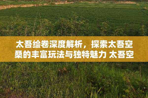 太吾绘卷深度解析,探索太吾空桑的丰富玩法与独特魅力 太吾空桑玩法 太吾绘卷深度解析,探索太吾空桑的丰富玩法与独特魅力 太吾空桑玩法