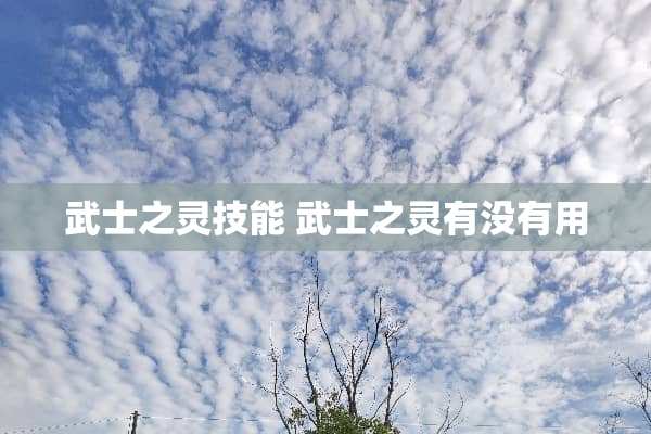 武士之灵技能 武士之灵有没有用 武士之灵技能 武士之灵有没有用