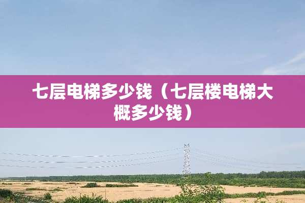 七层电梯多少钱（七层楼电梯大概多少钱）