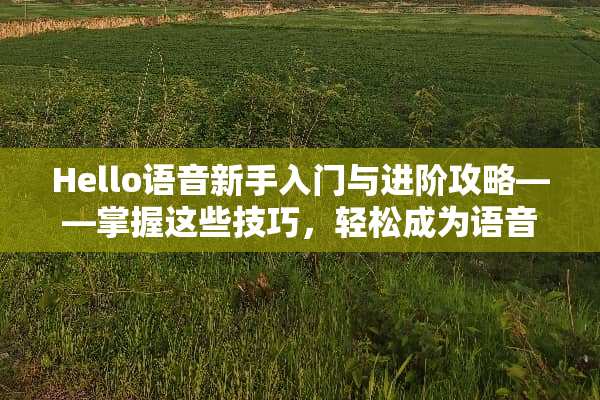 Hello语音新手入门与进阶攻略——掌握这些技巧，轻松成为语音大咖！ hello语音的玩法