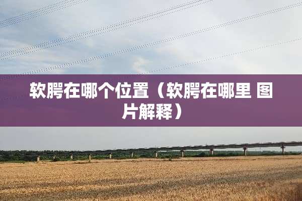 软腭在哪个位置（软腭在哪里 图片解释）