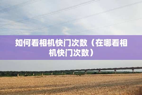 如何看相机快门次数（在哪看相机快门次数）