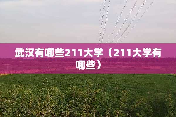 武汉有哪些211大学（211大学有哪些）