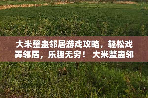 大米整蛊邻居游戏攻略，轻松戏弄邻居，乐趣无穷！ 大米整蛊邻居游戏攻略