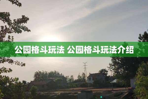 公园格斗玩法 公园格斗玩法介绍