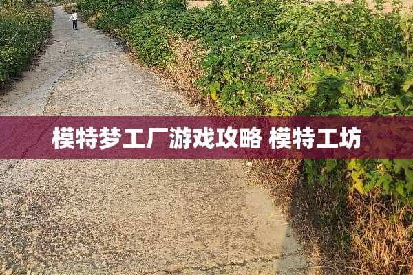 模特梦工厂游戏攻略 模特工坊