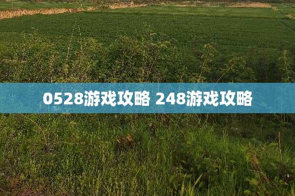 0528游戏攻略 248游戏攻略