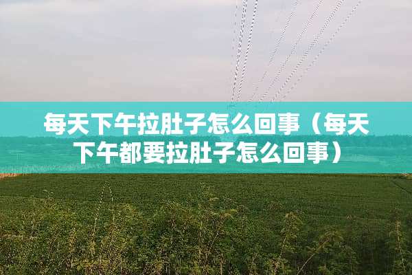 每天下午拉肚子怎么回事（每天下午都要拉肚子怎么回事）
