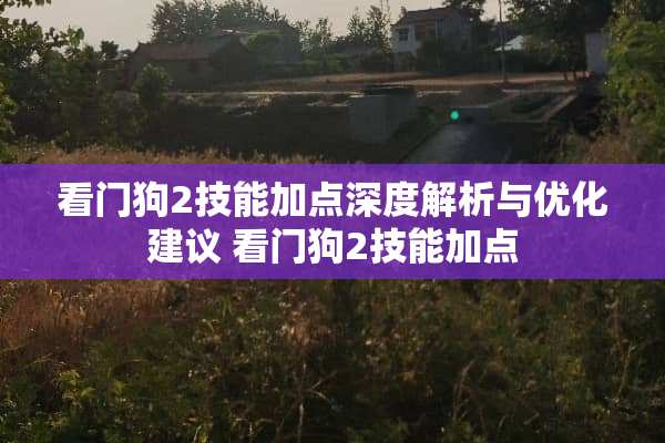 看门狗2技能加点深度解析与优化建议 看门狗2技能加点