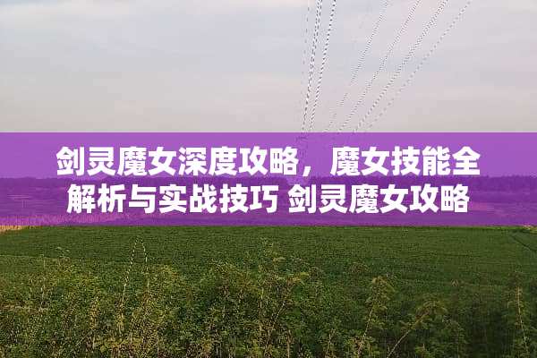 剑灵魔女深度攻略，魔女技能全解析与实战技巧 剑灵魔女攻略