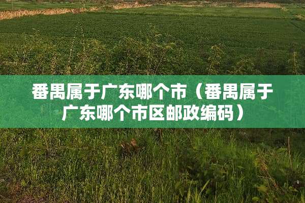 番禺属于广东哪个市（番禺属于广东哪个市区邮政编码）