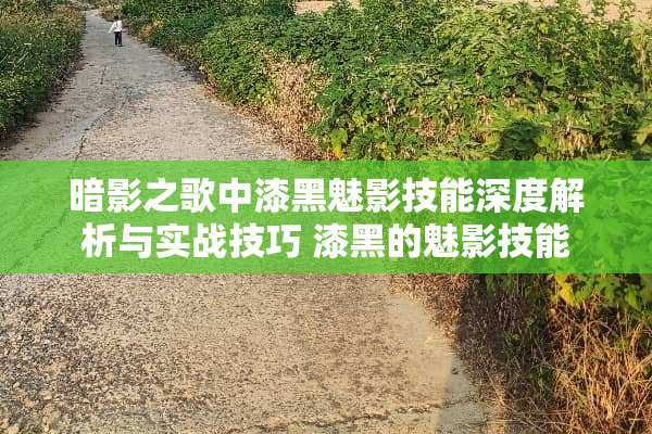 暗影之歌中漆黑魅影技能深度解析与实战技巧 漆黑的魅影技能