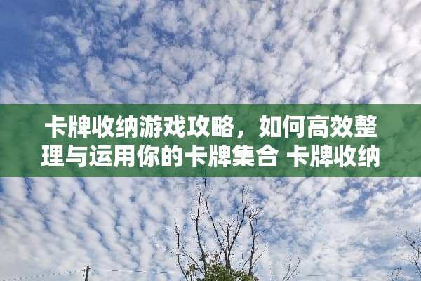 卡牌收纳游戏攻略，如何高效整理与运用你的卡牌集合 卡牌收纳游戏攻略