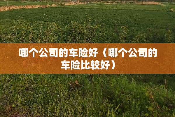 哪个公司的车险好(哪个公司的车险比较好) 哪个公司的车险好(哪个公司的车险比较好)