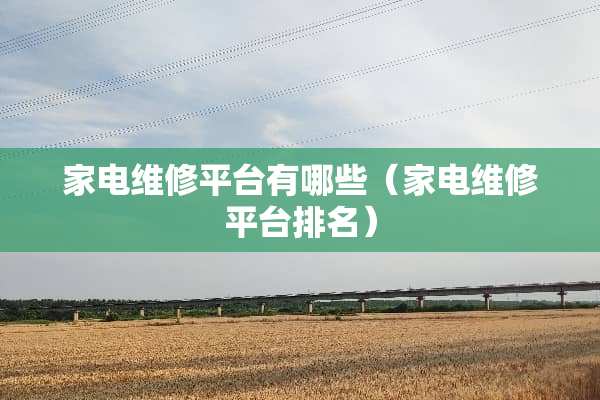家电维修平台有哪些（家电维修平台排名）