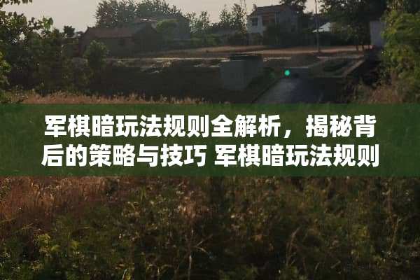 军棋暗玩法规则全解析,揭秘背后的策略与技巧 军棋暗玩法规则 军棋暗玩法规则全解析,揭秘背后的策略与技巧 军棋暗玩法规则