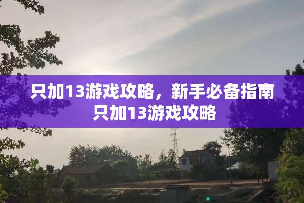 只加13游戏攻略,新手必备指南 只加13游戏攻略 只加13游戏攻略,新手必备指南 只加13游戏攻略