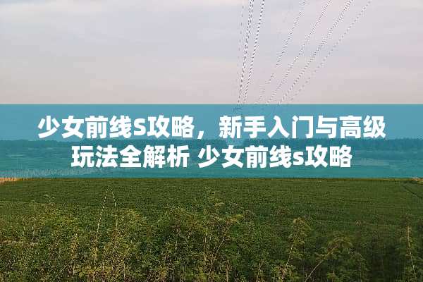 少女前线S攻略，新手入门与高级玩法全解析 少女前线s攻略