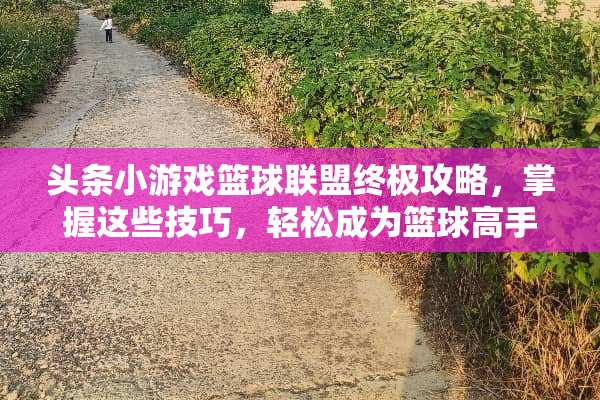 头条小游戏篮球联盟终极攻略，掌握这些技巧，轻松成为篮球高手！ 头条小游戏篮球联盟攻略